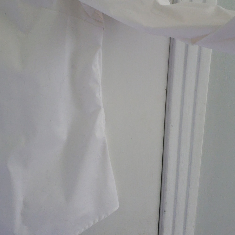 Fitted Button Down - Picture 4 of 5